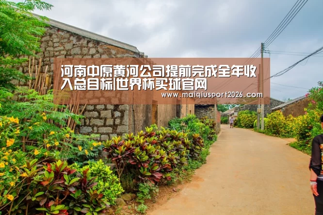 河南中原黄河公司提前完成全年收入总目标|世界杯买球官网(图3) 世界杯买球网站