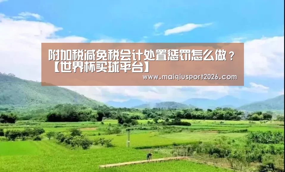 附加税减免税会计处置惩罚怎么做?【世界杯买球平台】(图3) 世界杯买球官网