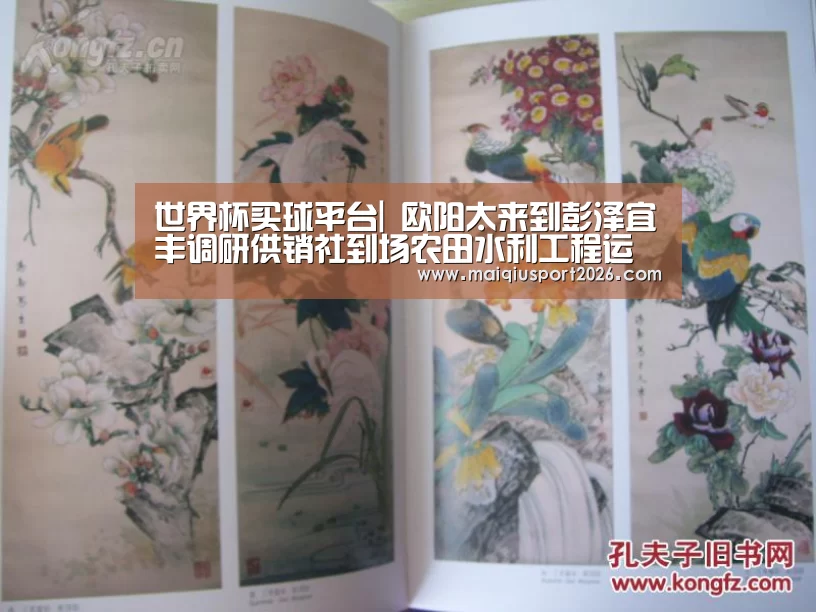 世界杯买球平台|
欧阳太来到彭泽宜丰调研供销社到场农田水利工程运行维养事情(图2) 世界杯买球网站