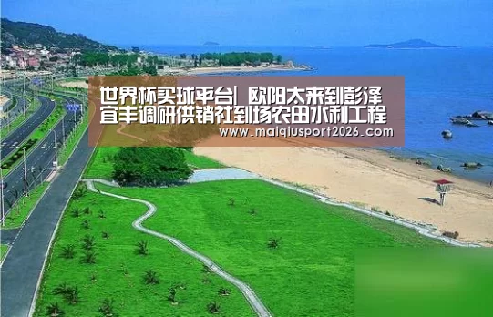 世界杯买球平台|
欧阳太来到彭泽宜丰调研供销社到场农田水利工程运行维养事情(图5) 世界杯买球平台